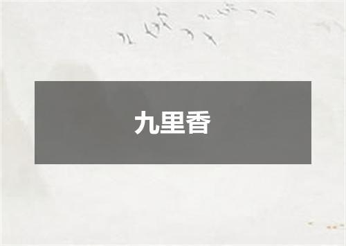 九里香