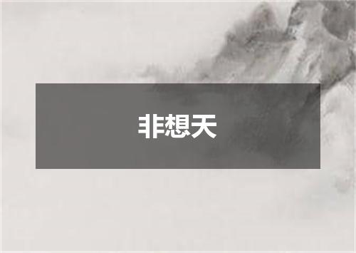 非想天
