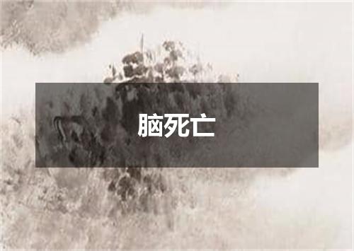 脑死亡