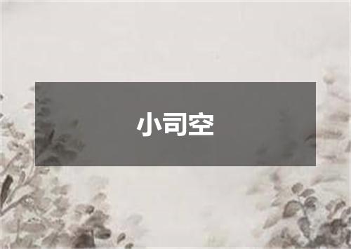 小司空