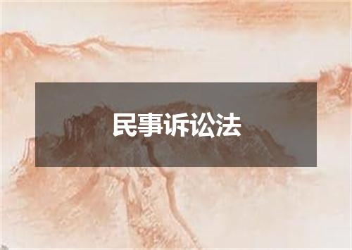 民事诉讼法