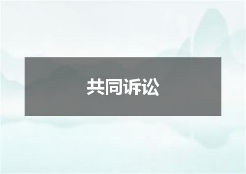 共同诉讼