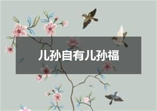 儿孙自有儿孙福