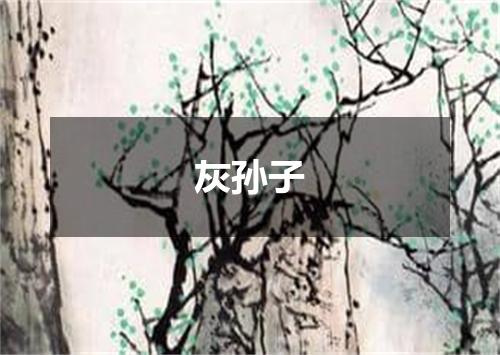 灰孙子