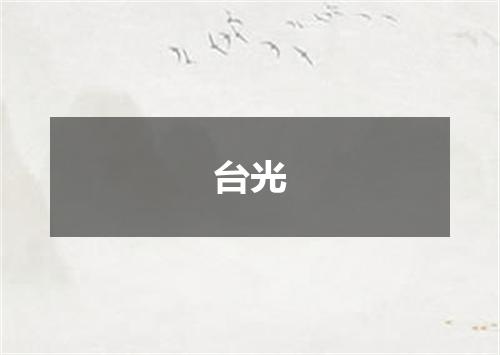 台光