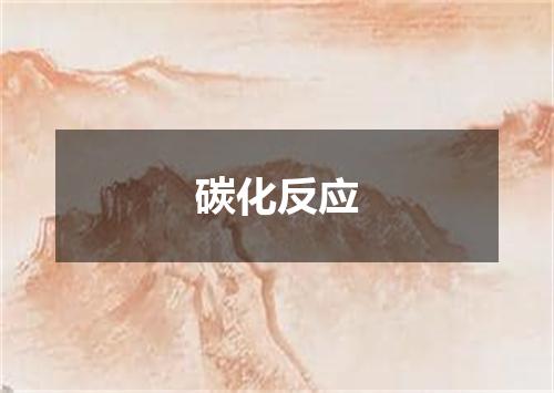碳化反应