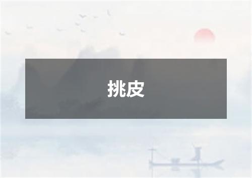 挑皮