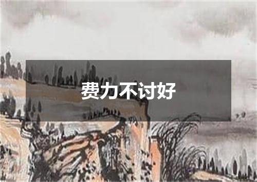 费力不讨好
