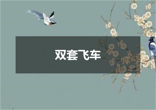 双套飞车