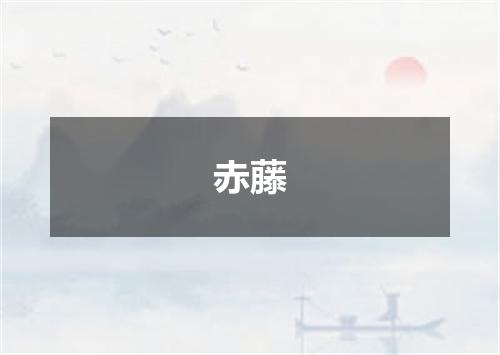 赤藤