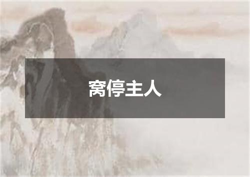 窝停主人