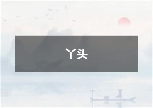 丫头