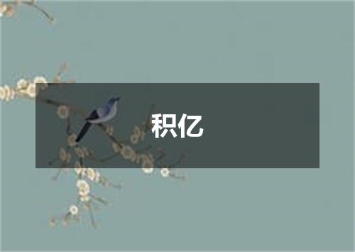 积亿