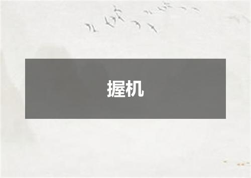 握机