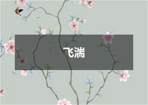 飞湍
