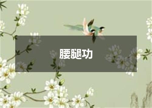 腰腿功