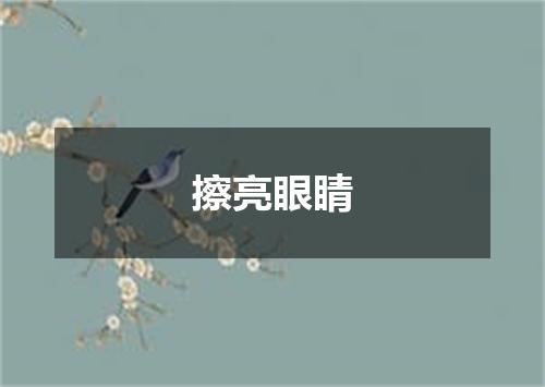 擦亮眼睛