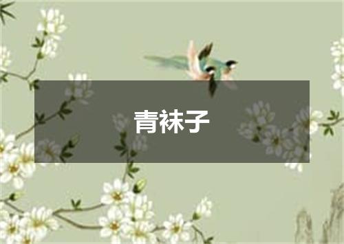 青袜子