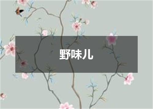 野味儿