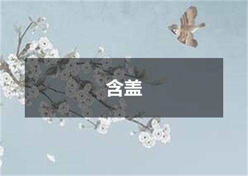含盖