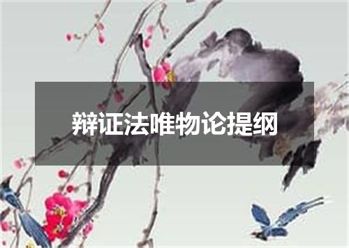 辩证法唯物论提纲