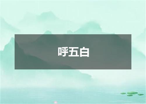 呼五白