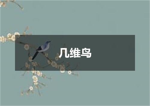 几维鸟