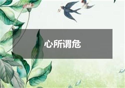 心所谓危