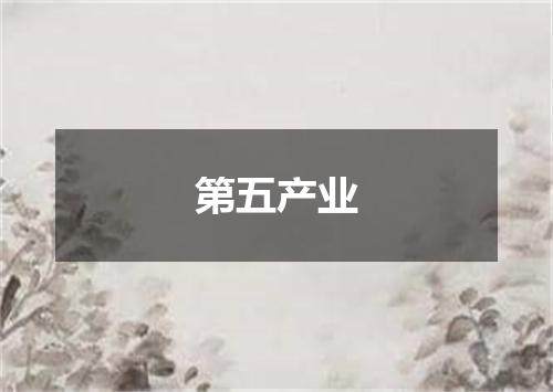第五产业