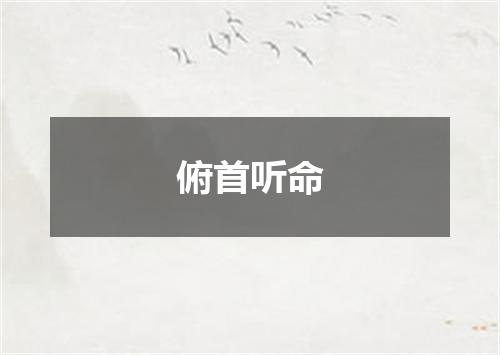 俯首听命