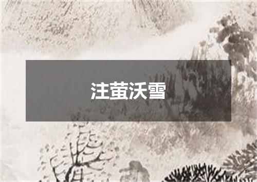 注萤沃雪