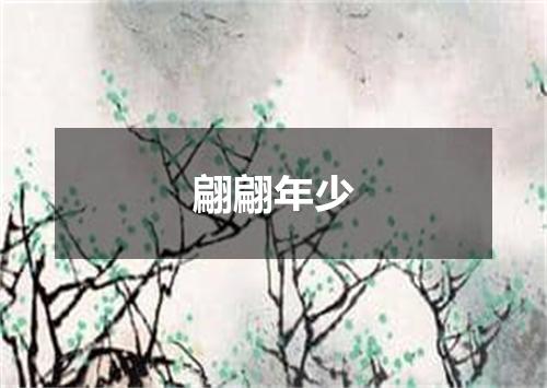 翩翩年少