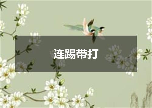 连踢带打