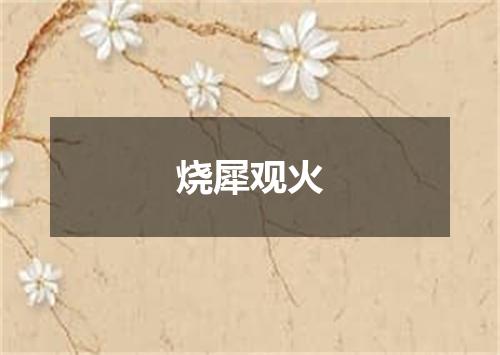 烧犀观火