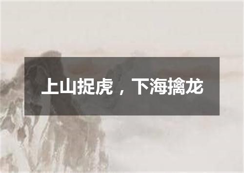 上山捉虎，下海擒龙