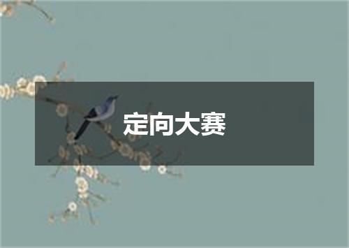 定向大赛