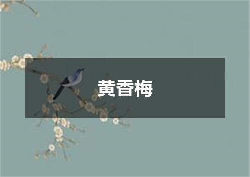 黄香梅