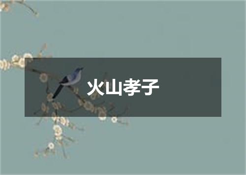 火山孝子