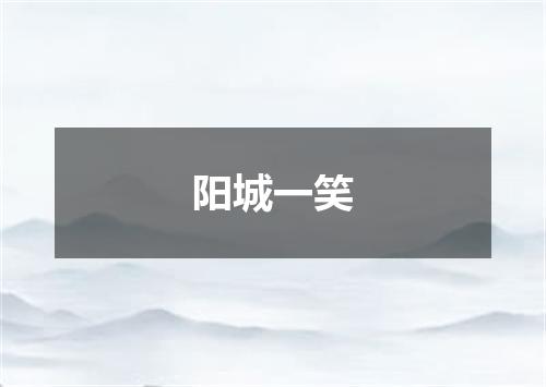 阳城一笑
