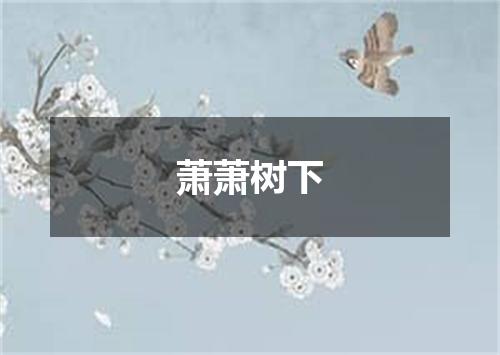 萧萧树下