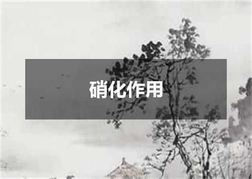 硝化作用