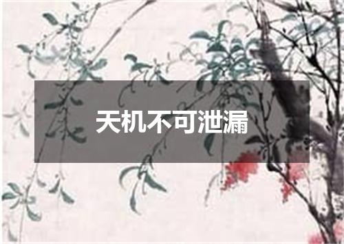 天机不可泄漏