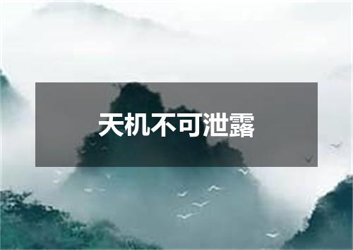 天机不可泄露