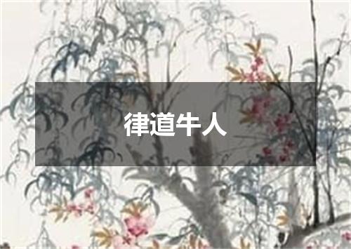 律道牛人