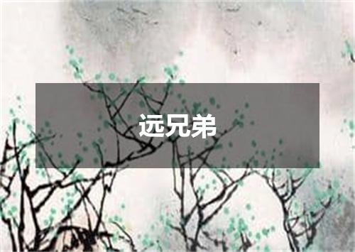 远兄弟