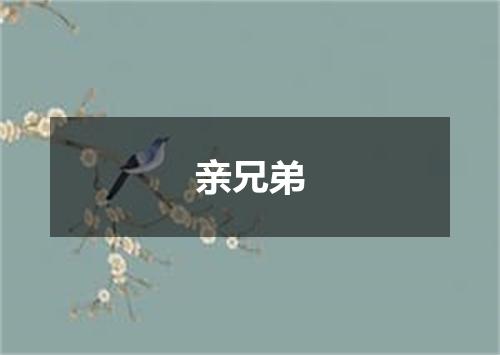 亲兄弟