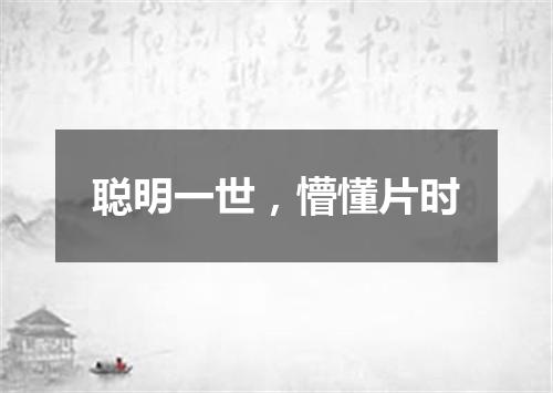 聪明一世，懵懂片时