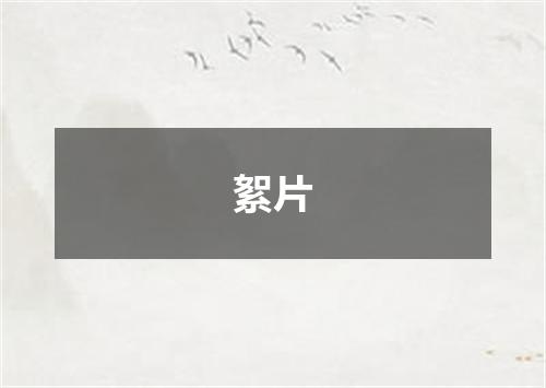 絮片