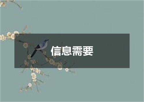 信息需要