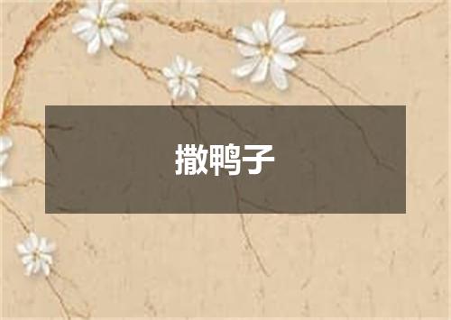 撒鸭子